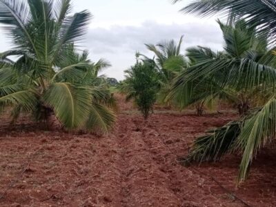 9 Acres of Land for Sale in Kulagana Village